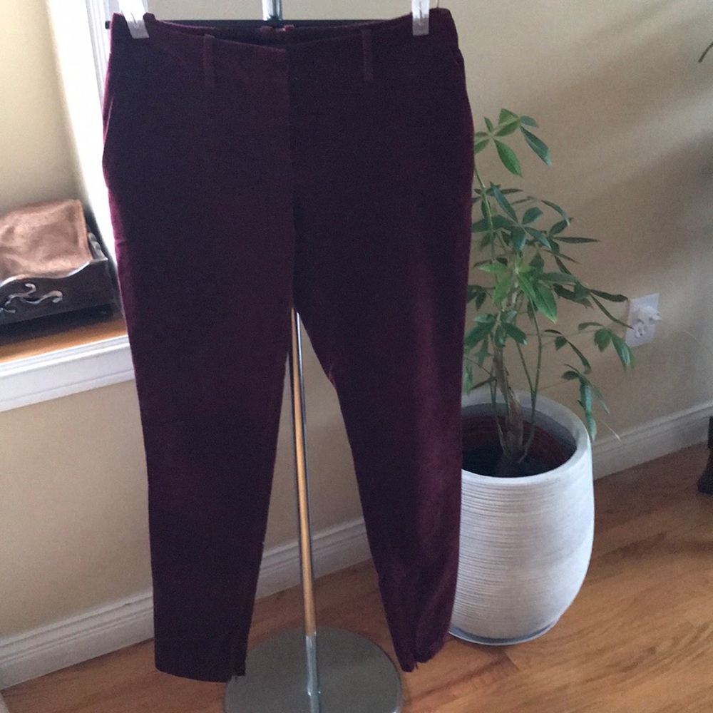 Top shop pants
